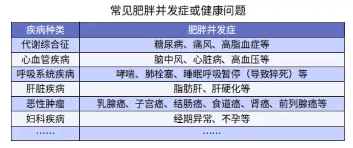 太胖被拒保怎么辦？