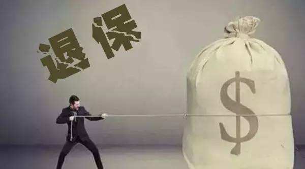 買(mǎi)的保險不想續保了能退嗎？