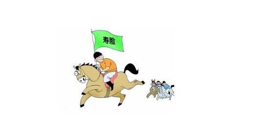 為什么我不建議有些人買(mǎi)壽險？這里有你想要的答案