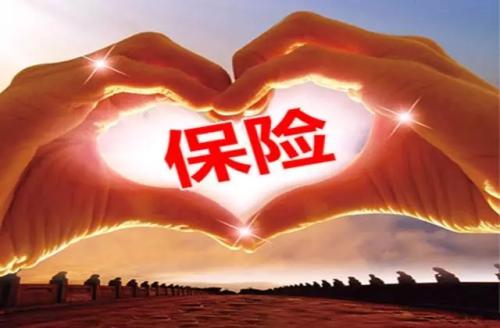 人壽重大疾病保險，哪種比較好？