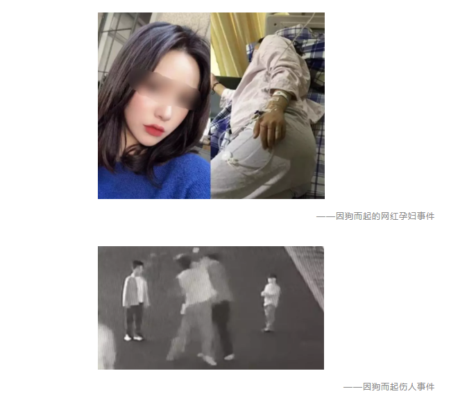 為什么不買(mǎi)保險就不讓養狗？