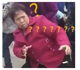 為什么不買(mǎi)保險就不讓養狗？