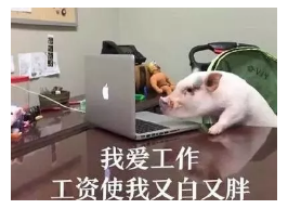 發(fā)生車(chē)禍如何快速理賠？