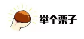 什么是年金轉換？