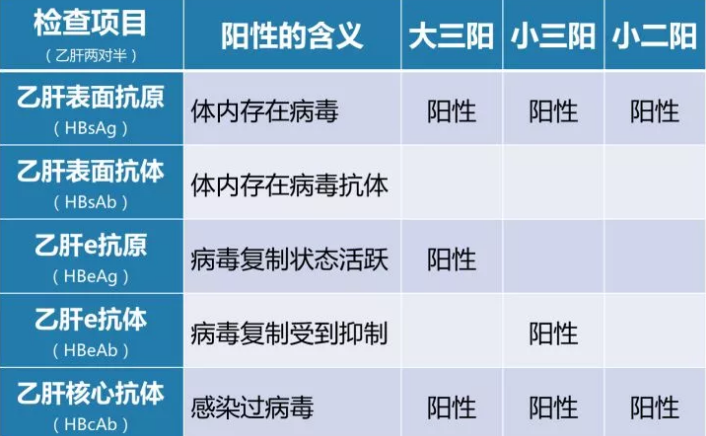 乙肝病毒攜帶者應該如何正確投保？