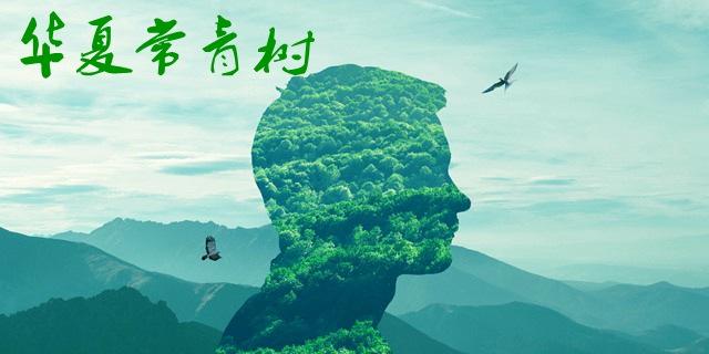 華夏常青樹(shù)多倍版2.0包括哪些??？